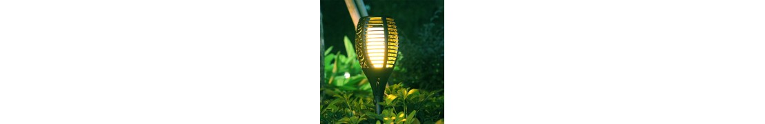 Solar light